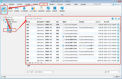 實時電腦監控與計算機軟件開發 工具、技術與應用